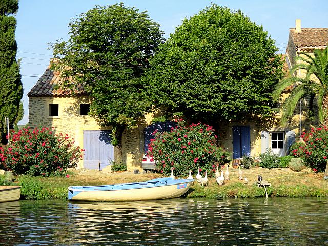 2013 ACBB Aviron Rando Canal du Midi 0648 Oies