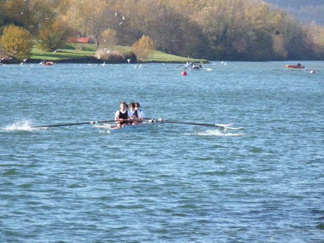 Compete Aviron Mantes 11 nov 0830