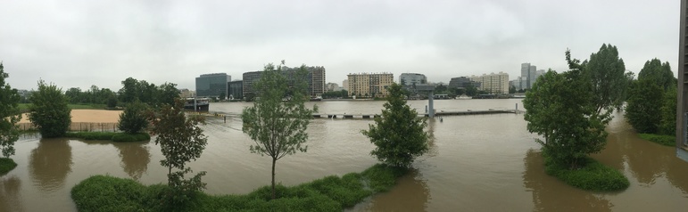 Crue de la Seine